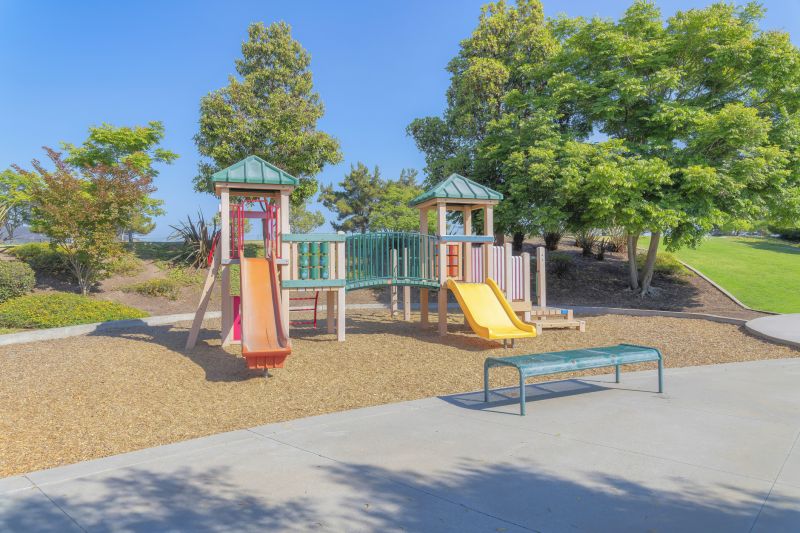 Jungle Gym Installation in Denver County, CO